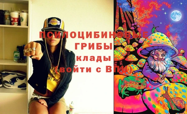 COCAINE Щигры