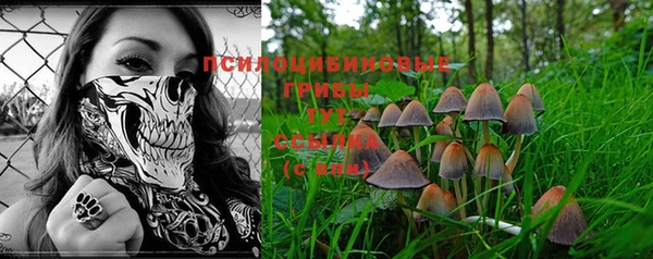 трава Солнечногорск